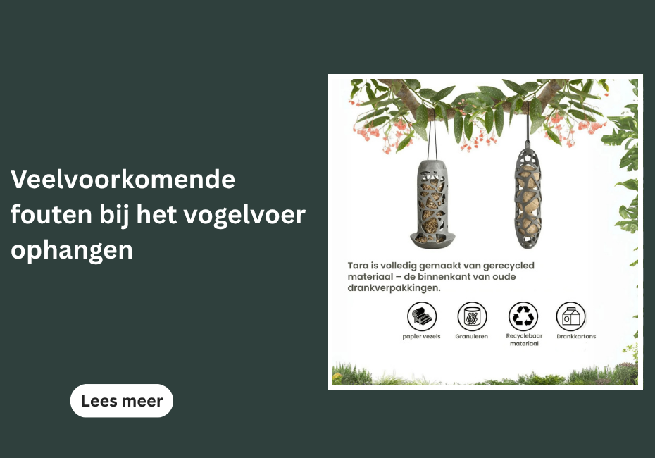 Veelvoorkomende fouten bij het vogelvoer ophangen