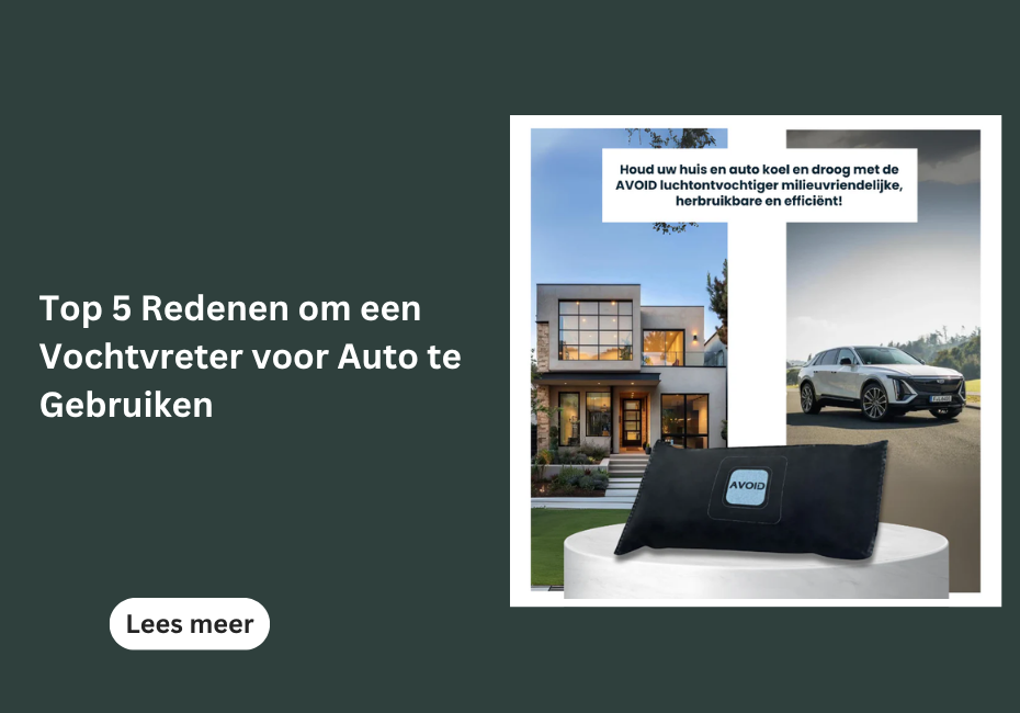 Top 5 Redenen om een Vochtvreter voor Auto te Gebruiken