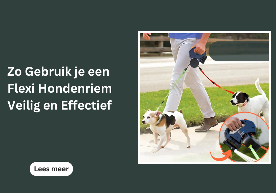 Zo Gebruik je een Flexi Hondenriem Veilig en Effectief