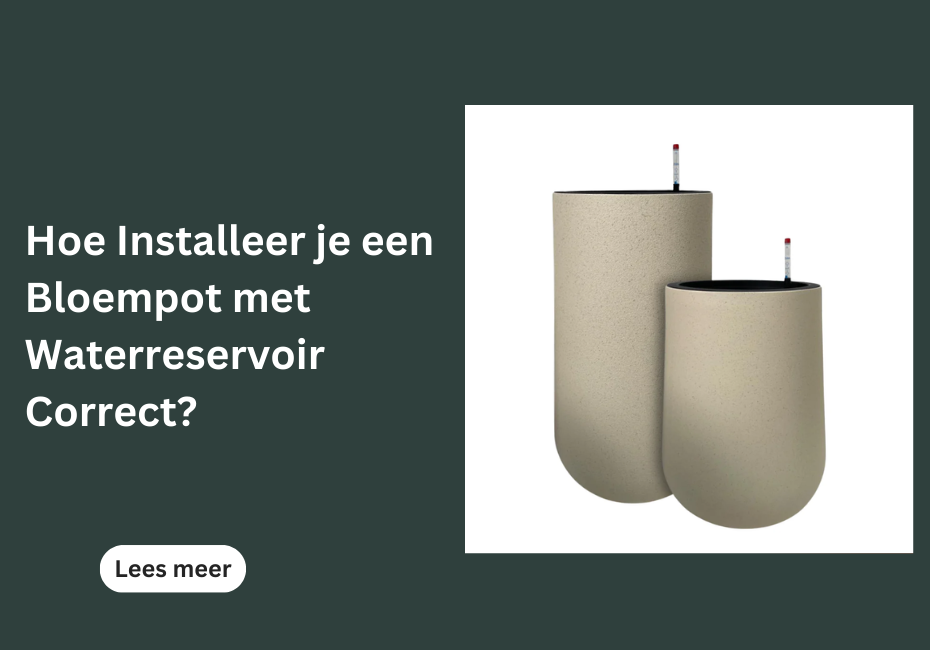 Hoe Installeer je een Bloempot met Waterreservoir Correct?