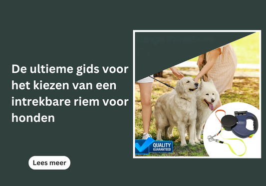 De ultieme gids voor het kiezen van een intrekbare riem voor honden