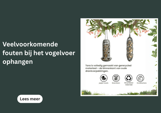 Veelvoorkomende fouten bij het vogelvoer ophangen