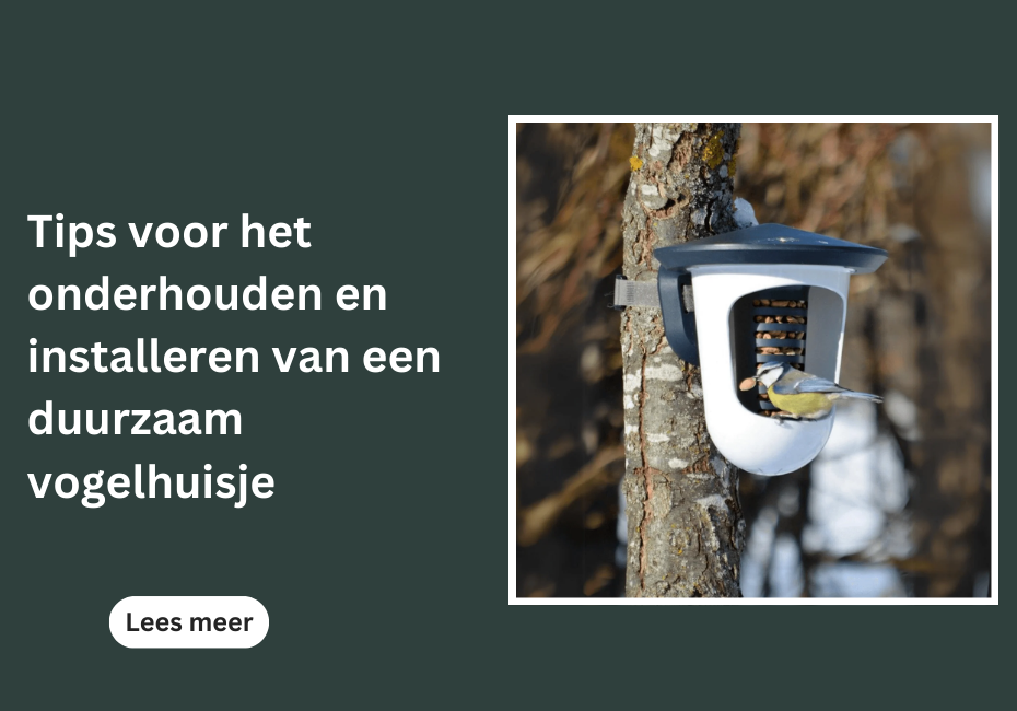 Tips voor het onderhouden en installeren van een duurzaam vogelhuisje