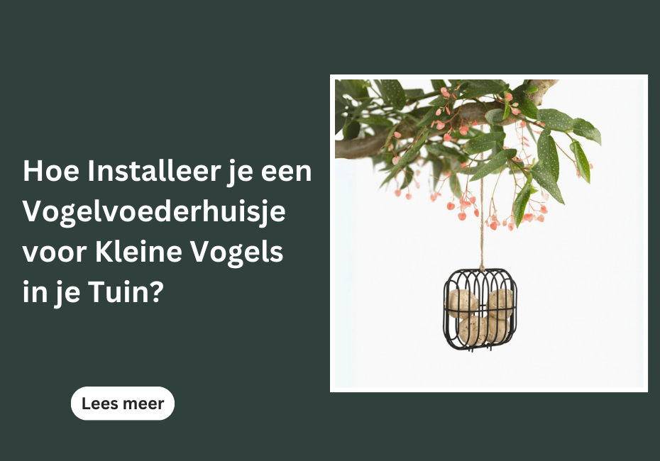 Hoe Installeer je een Vogelvoederhuisje voor Kleine Vogels in je Tuin?