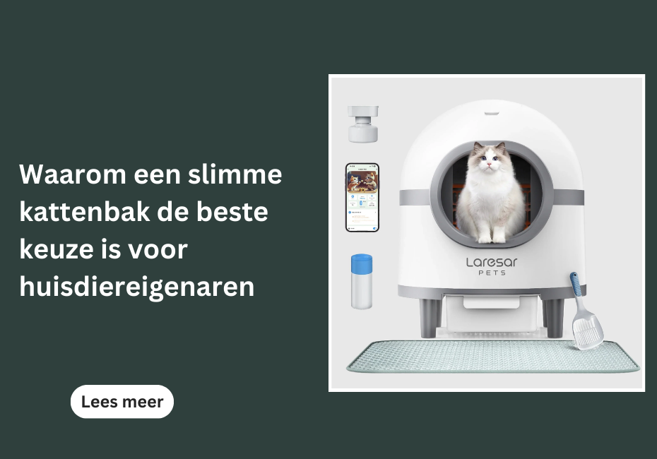 Waarom een slimme kattenbak de beste keuze is voor huisdiereigenaren