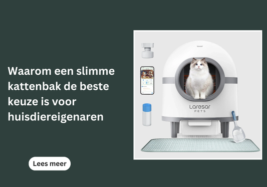 Waarom een slimme kattenbak de beste keuze is voor huisdiereigenaren