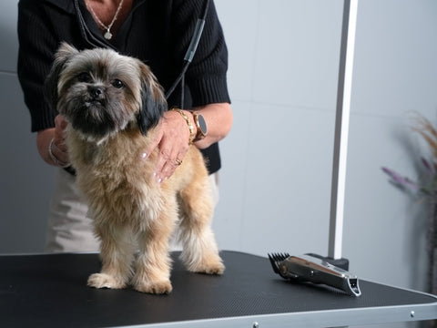 Honden_Trimtafel_6