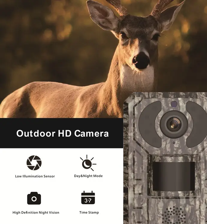AVOID – Hunting Camera – Draadloze Wildcamera – Nachtzicht - Avoid