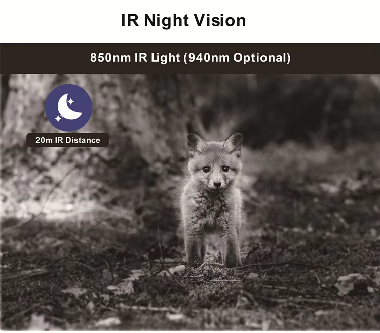 AVOID – Hunting Camera – Draadloze Wildcamera – Nachtzicht - Avoid