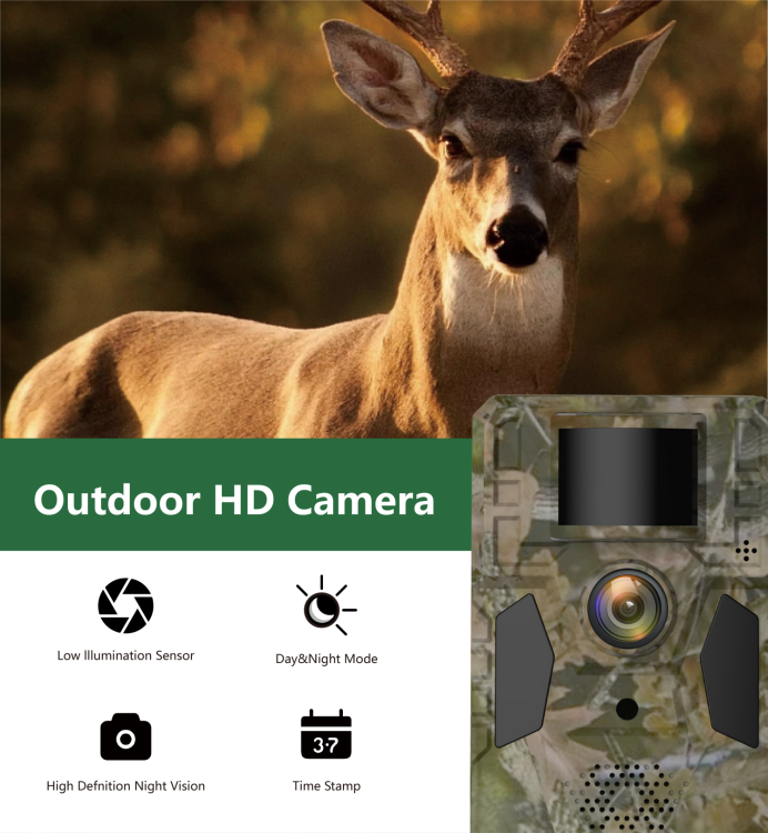 AVOID – Hunting Camera – Draadloze Wildcamera – Nachtzicht - Avoid