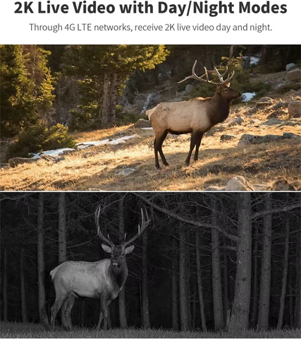 AVOID – Hunting Camera – Draadloze Wildcamera – Nachtzicht - Avoid