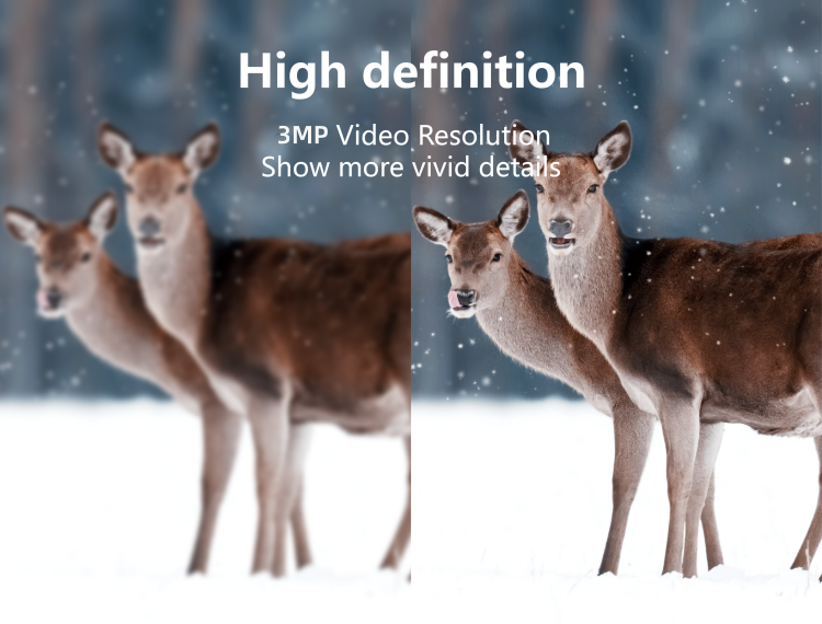 AVOID – Hunting Camera – Draadloze Wildcamera – Nachtzicht - Avoid