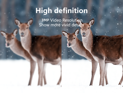 AVOID – Hunting Camera – Draadloze Wildcamera – Nachtzicht - Avoid