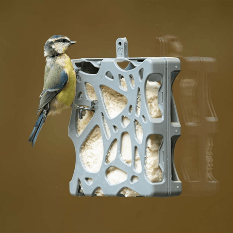 Singing Friend - Hello Anna - 100% Gerecycled Plastic Raam Vetblokhouder - Inclusief zuignappen - Avoid