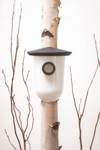 Singing Friend - Hello Breedr - 100% Gerecycled Plastic Vogelvoederhuisje - Verkrijgbaar in Groen & Grijs - Avoid