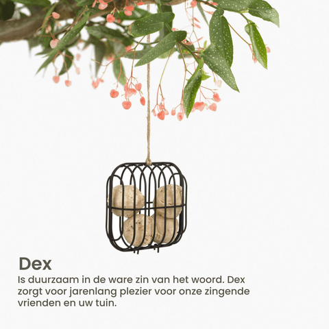 Singing Friend - Hello Dex - Voedersilo Van Draad - Vierkant Design - Verkrijgbaar in Bruin of Zwart - Avoid