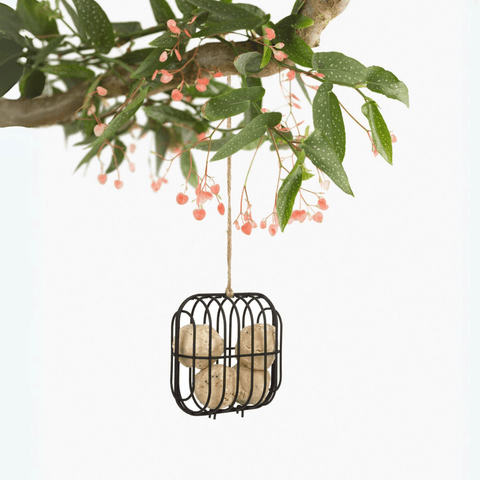 Singing Friend - Hello Dex - Voedersilo Van Draad - Vierkant Design - Verkrijgbaar in Bruin of Zwart - Avoid