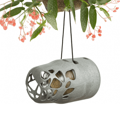 Singing Friend - Hello Esmee - 100% Gerecycled Plastic Vogelvoederhuisjes - Voor Pindakaas En Vetbollen - Avoid