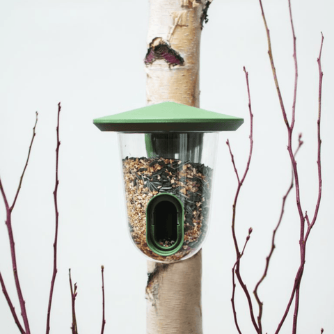 Singing Friend - Hello Feedr - 100% Gerecycled Plastic Vogelvoederhuisje - Verkrijgbaar in Groen & Grijs - Avoid