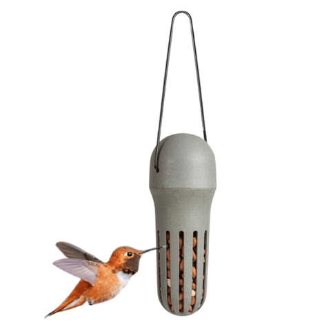 Singing Friend - Hello Max - 100% Gerecycled Plastic Vogelvoedersilo - Voor Pinda's En Vetpellets - Avoid