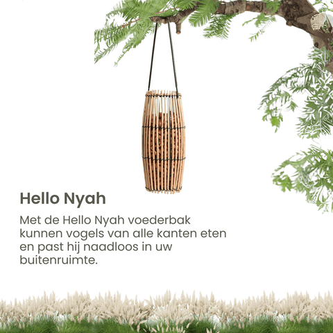 Singing Friend - Hello Nyah - 100% Duurzaam Vogelvoedersilo - Voor Vetbollen En Pinda's - Avoid