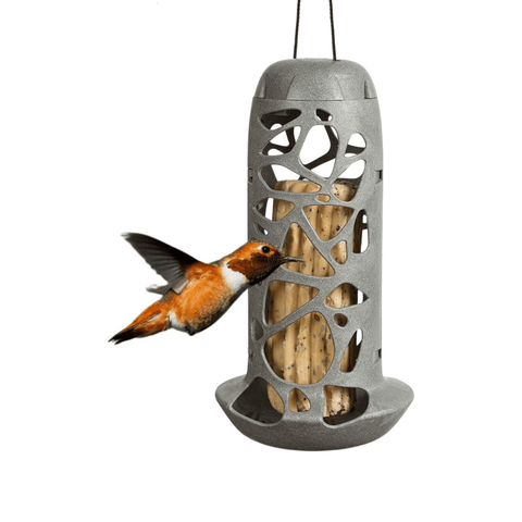 Singing Friend - Hello Tara - 100% Gerecycled Plastic Vogelvoederhuisje - Voor Vetbollen En Vetrollen - Avoid